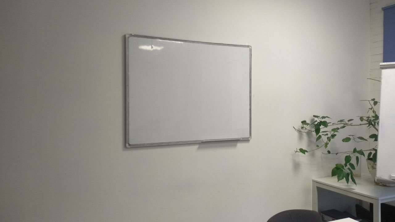 Blank whiteboard mounted on a white office wall next to a green plant.